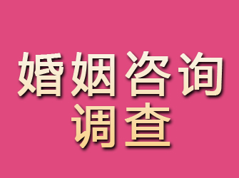 石家庄婚姻咨询调查