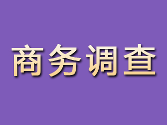 石家庄商务调查